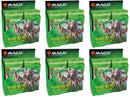 Theros Beyond Death - Collector Booster Case