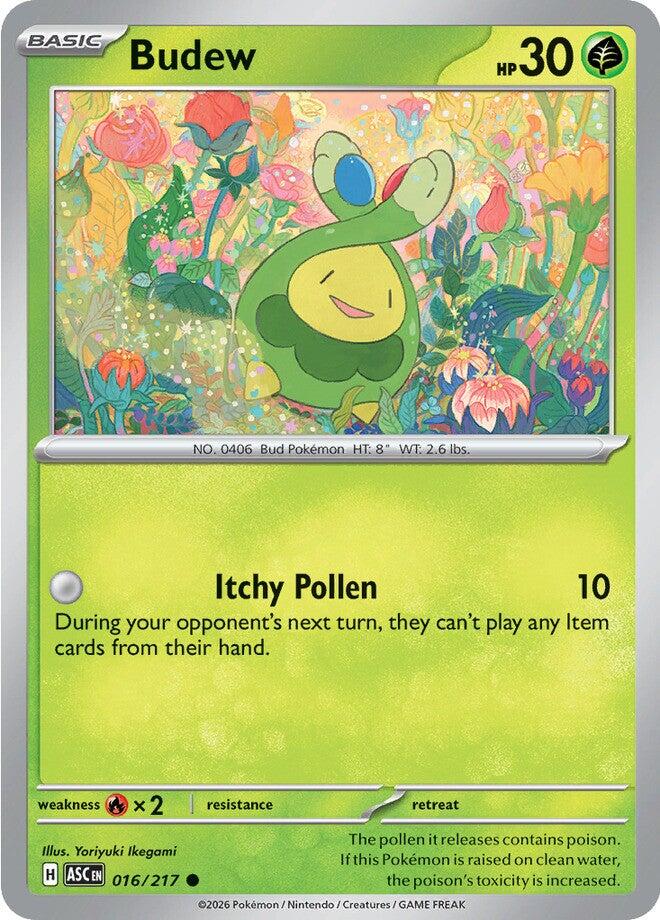 Budew (016/217) [Mega Evolution: Ascended Heroes]