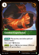 Combat Experience (031/219 - Common) [Riftbound TCG: Unleashed]