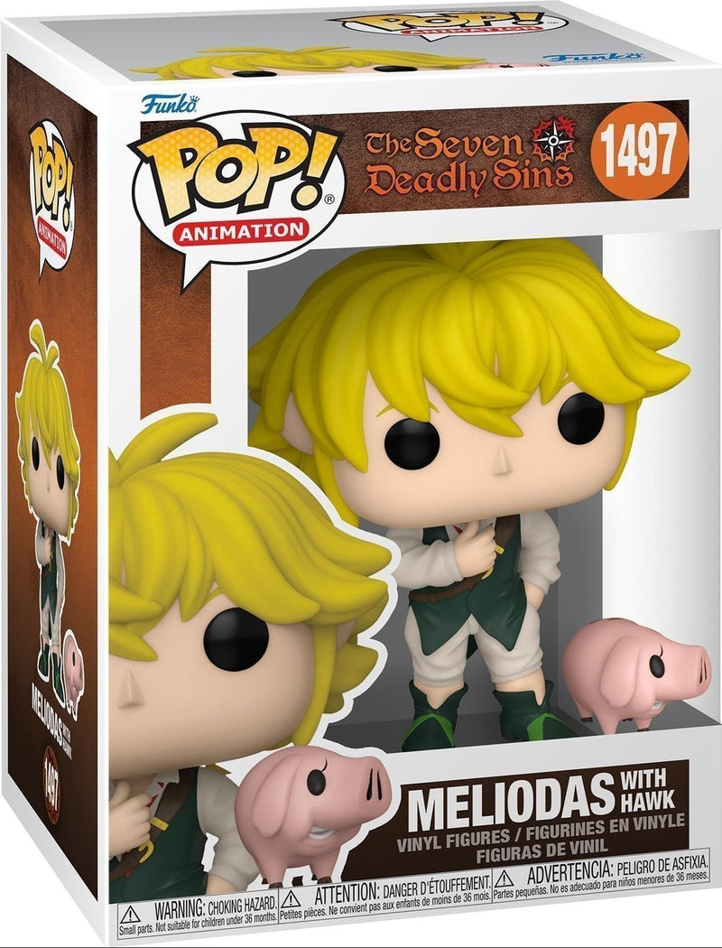 Meliodas with Hawk - 1497