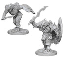 Dragonborn Fighter