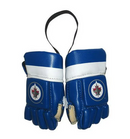 Nhl -Mini Gloves Winnipeg Jets