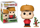 Charlie Brown 1627