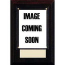 Plaque W/Card Aaron Judge