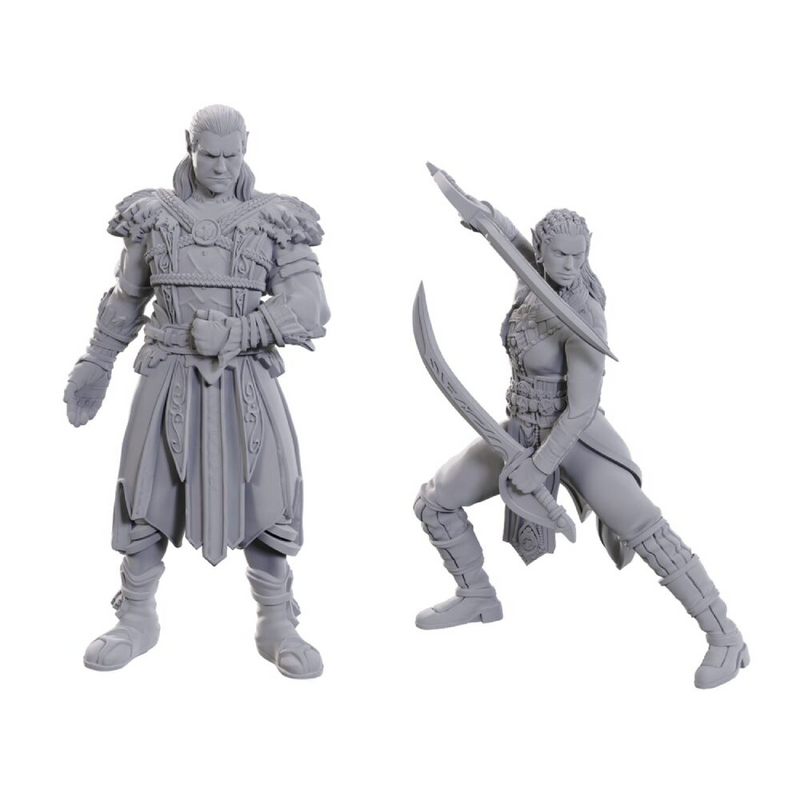 D&D Baldur's Gate 3 - Jaheira & Halsin