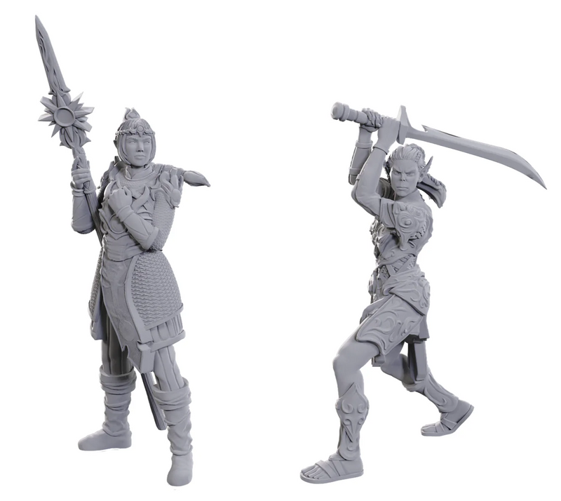 D&D Baldur's Gate 3 - Lae'zel & Shadowheart