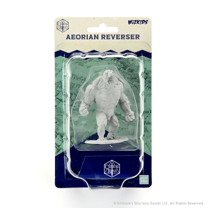 Aeorian Reverser - Critical Role