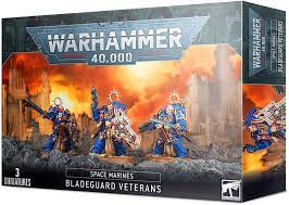 Warhammer 40K: Space Marines - Bladeguard Veterans