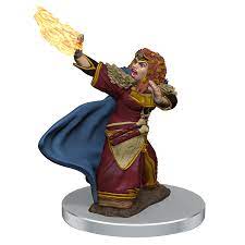 Premium Dwarf Wizard