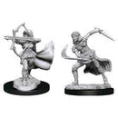 Air Genasi - Unpainted